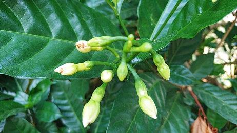 《飙酷车神：轰鸣盛典》最终配置公布 推荐RTX 2060